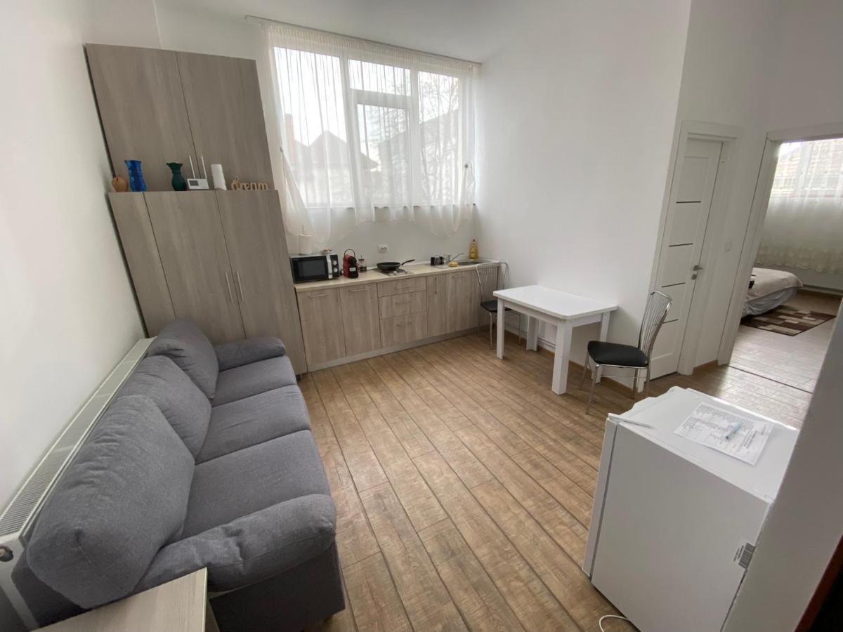 Neva Apartments Făgăraş Dış mekan fotoğraf